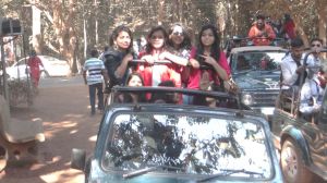 Picnic