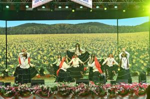 Annual Function 2024